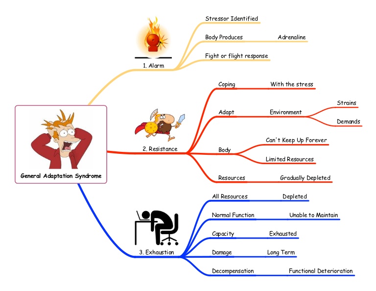 generaladaptationsyndromegas-121127064548-phpapp01-thumbnail-4.jpg